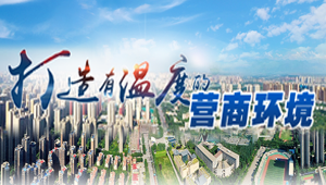 长安优化营商环境